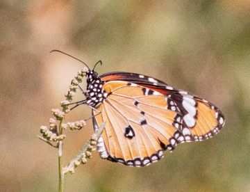 WhatsApp Image 2025-12-18 at 17.47.47